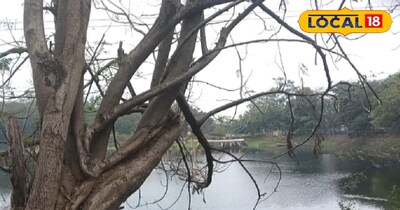 जबलपुर में खुशनुमा मौसम.