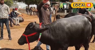 करेरा का हाट, लाखों