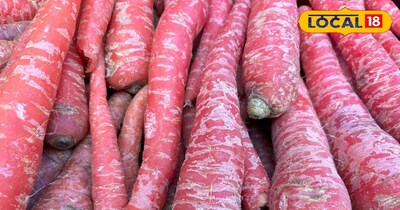 गाजर खाने के फायदे 