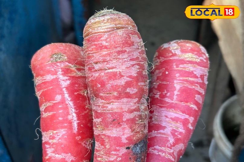 Useful in digestion and colon cleansing