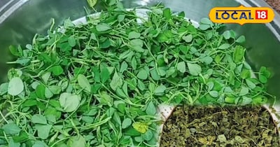 सर्दियों की औषधि मेथी: सालभर ताजा रखने के आसान घरेलू तरीके...