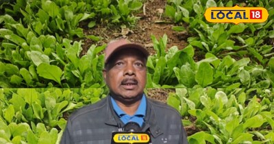 पालक भाजी कम समय में तैयार हो जाती है.