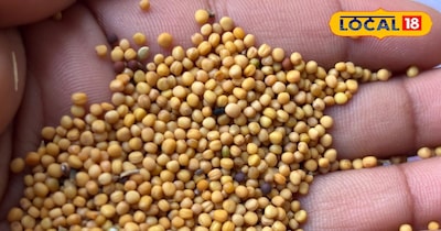 सरसों का मसाले के रूप में यूज