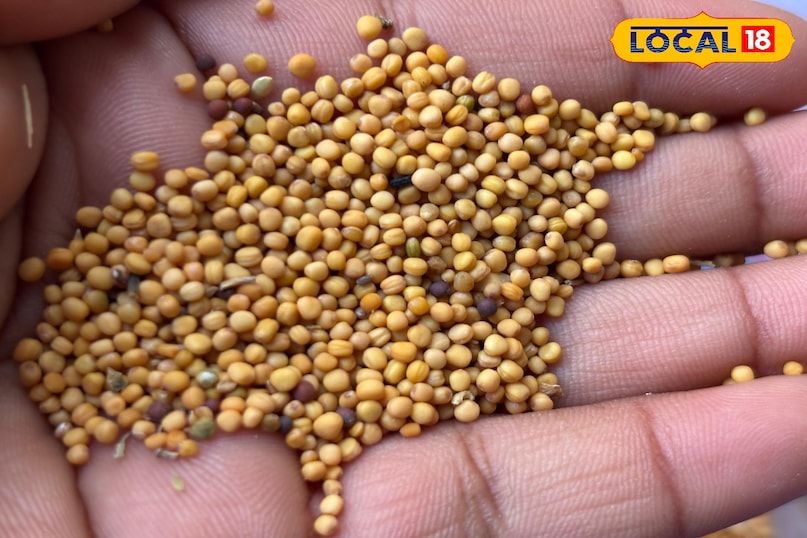 Mustard spice is also linked to health