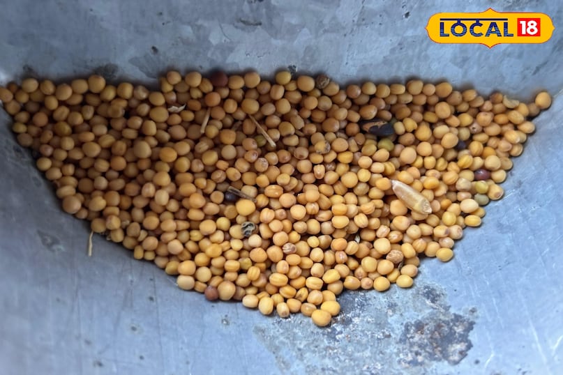 Separate use of black and yellow grains