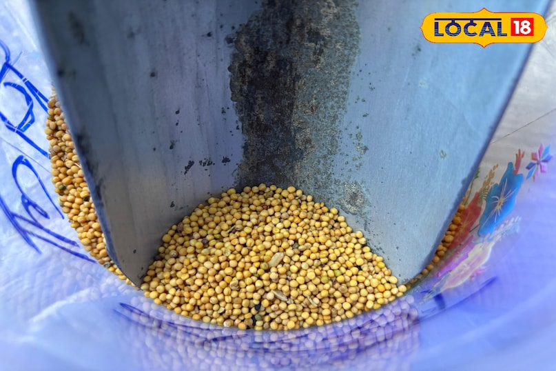 Special place in festivals and traditional dishes