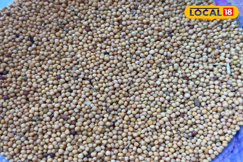 Essential spices for pickle preservation