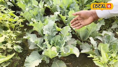 एक खर्चा डबल मुनाफा, नई नई खेती से कमाते मुनाफा 