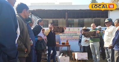 मधुमक्खी पालन 