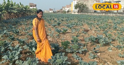 अभी तक 2.50 लाख रुपए की ब्रोकली मार्केट में बेच चुके हैं और कई फूल लगे हुए है. 