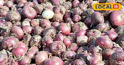 प्याज की बम्पर पैदावार 