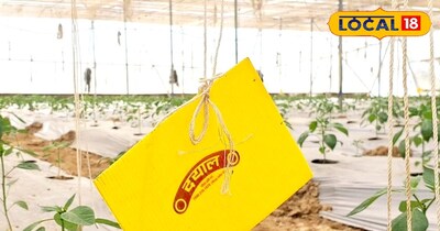 ट्रैप गार्ड