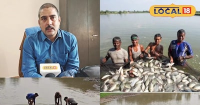 मछलियों का खाना घर पर आसानी से बनाया जा सकता है.