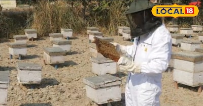 कई फ्लेवर में तैयार करते हैं शहद