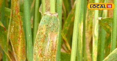 प्रतीकात्मक