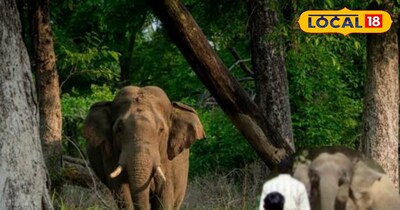 प्रतीकात्मक