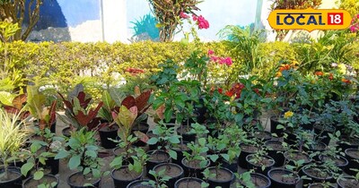 वृद्धिचंद मौर्य, महराजगंज