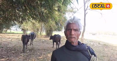 खेती के साथ पशुपालन कमाई का अच्छा विकल्प, अररिया के किसान ने बताया कितना हो रहा