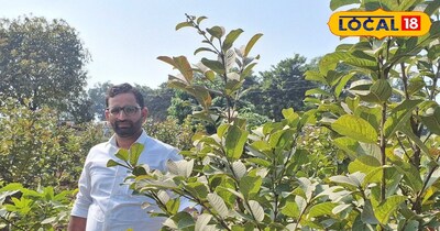 नौकरी नहीं, खेत चुनी गाजीपुर के युवा किसान ने इंटरक्रॉपिंग से बदल दी अपनी दुनिया