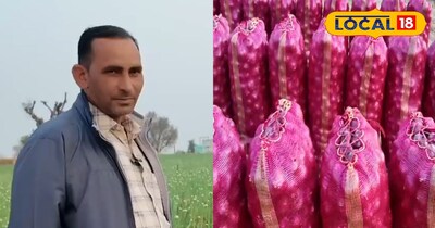 महिपाल सिंह 26 बीघा में प्याज उन्नत तरीके से खेती कर रहे 