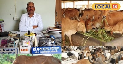 यह योजना किसानों की आमदनी बढ़ाने और डेयरी व्यवसाय को प्रोत्साहित करने के लिए है.