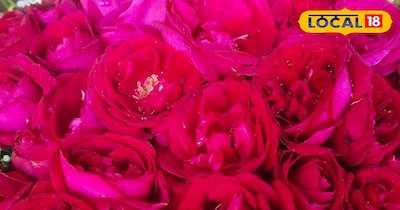 सांकेतिक फैटो