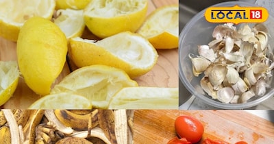 सब्जियों के छिलके 