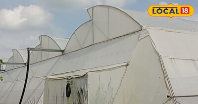 पोली हाउस 