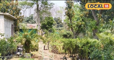 भोजपुर के किसानों के लिए कमाई का नया रास्ता: 50% सब्सिडी से शुरू करें नर्सरी उद्