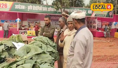 जैविक तरीके से ब्रोकली गोभी का खेती करने पर होता है वजन अधिक 