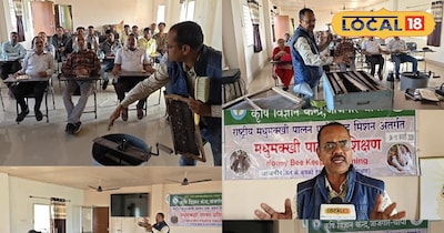 कम लागत, ज्यादा मुनाफा: मधुमक्खी पालन की नई राह