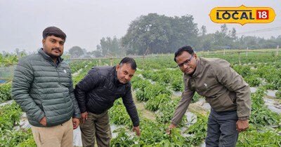 सब्जी की खेती करनें वालें किसान 