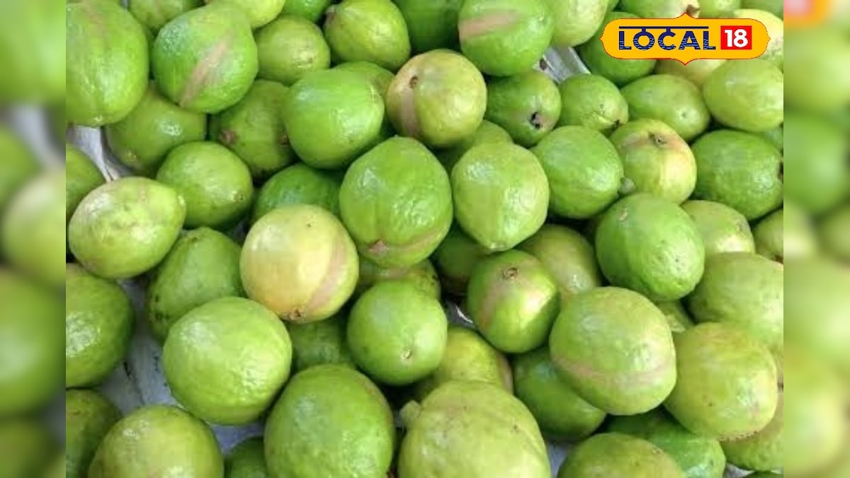 मीठा नहीं कच्चा अमरूद है असली सुपरफूड! ग्वावा टी से शुगर कंट्रोल, वजन कम, दमदार इम्युनिटी और ग्लोइंग स्किन का राज