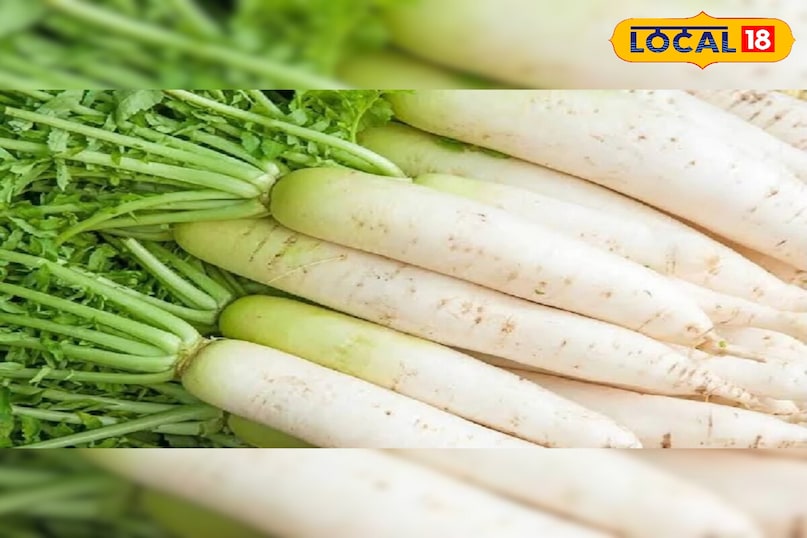 মোরাদাবাদের খবর, হিন্দি খবর, আপ নিউজ, স্থানীয় খবর, মোরাদাবাদের খবর, হিন্দি খবর, স্থানীয় খবর, ইউপি খবর।