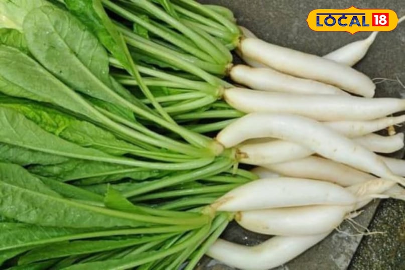 মোরাদাবাদের খবর, হিন্দি খবর, আপ নিউজ, স্থানীয় খবর, মোরাদাবাদের খবর, হিন্দি খবর, স্থানীয় খবর, ইউপি খবর।