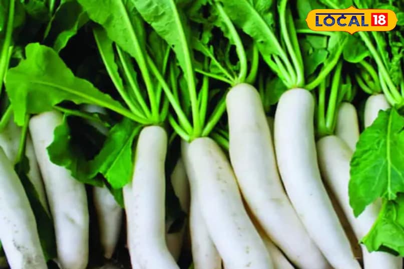 মোরাদাবাদের খবর, হিন্দি খবর, আপ নিউজ, স্থানীয় খবর, মোরাদাবাদের খবর, হিন্দি খবর, স্থানীয় খবর, ইউপি খবর।