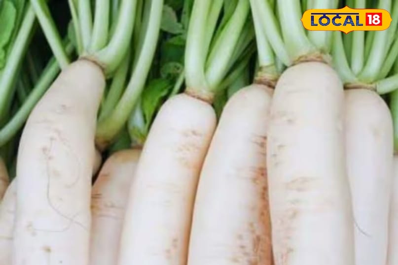 মোরাদাবাদের খবর, হিন্দি খবর, আপ নিউজ, স্থানীয় খবর, মোরাদাবাদের খবর, হিন্দি খবর, স্থানীয় খবর, ইউপি খবর।