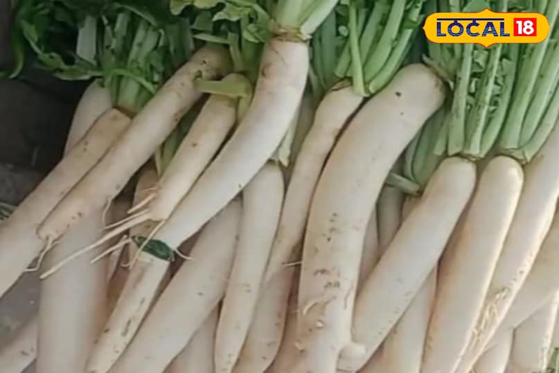 মোরাদাবাদের খবর, হিন্দি খবর, আপ নিউজ, স্থানীয় খবর, মোরাদাবাদের খবর, হিন্দি খবর, স্থানীয় খবর, ইউপি খবর।