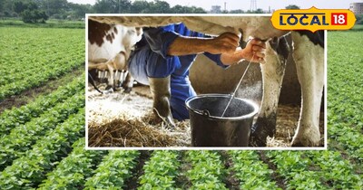 खेती और पशुपालन 