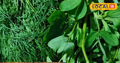 सोया मेथी