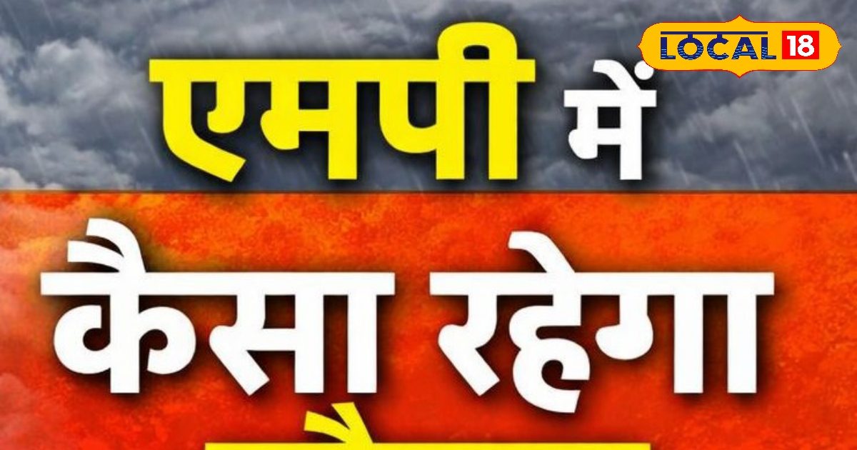 MP Weather News: ठंडी हवाओं का कहर, 6 जिलों में कोल्ड वेव का अलर्ट, IMD ने बताया अगले 2 दिनों का हाल