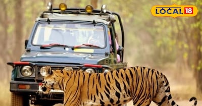 प्रतीकात्मक तस्वीर