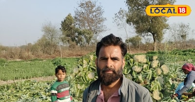 सोतई के किसान... मेहनत ज़्यादा, दाम कम.