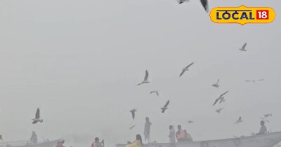 यूपी में फिर लौट आएं कोहरे वाले दिन