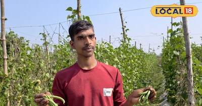 खेती से मुनाफा 