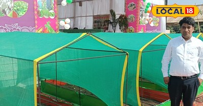 छत पर बागवानी के लिए इकाई लागत पर 75 फीसदी का अनुदान मिलेगा. 