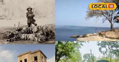 Pocharam safari hyderabad 