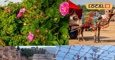 वैलेंटाइन डे पर पार्टनर के साथ पुष्कर में फ्री में घूमने के लिए बेस्ट लोकेशन 