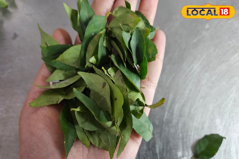 কারিপাতার উপকারিতা 