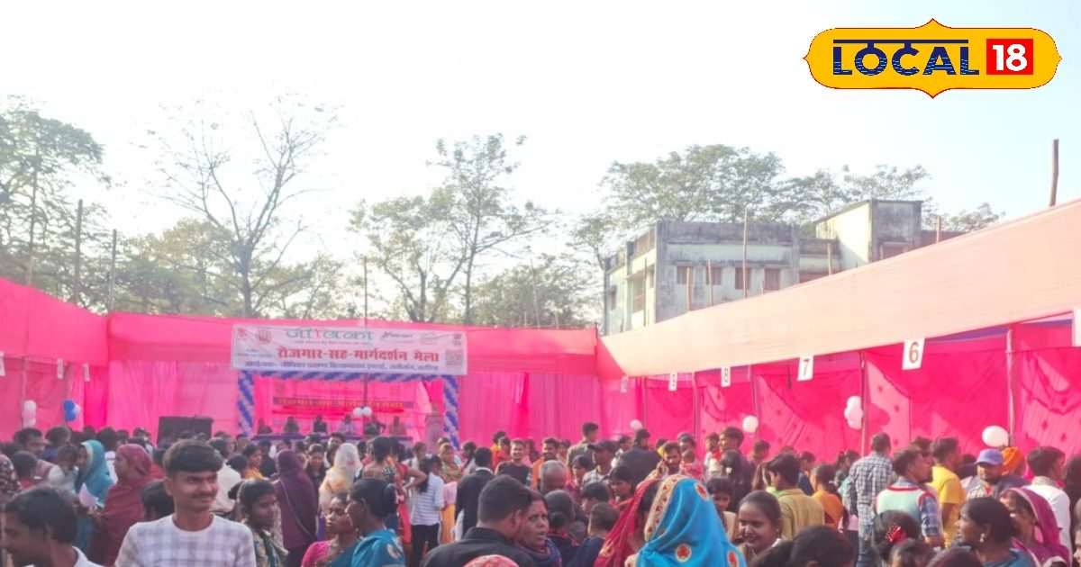 अररिया में बेरोजगार युवाओं के लिए सुनहरा मौका, 18 फरवरी को लगेगा जिला स्तरीय रोजगार मेला